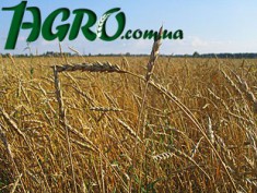 1agro.com.ua