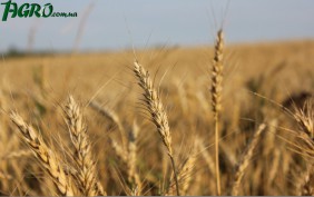 1agro.com.ua