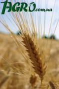 1agro.com.ua