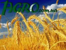1agro.com.ua