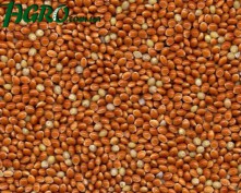 1agro.com.ua