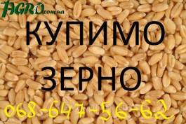1agro.com.ua