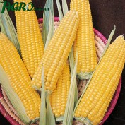 1agro.com.ua