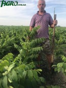 1agro.com.ua