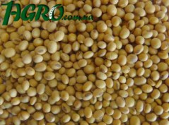 1agro.com.ua