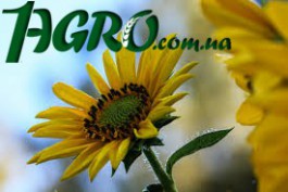 1agro.com.ua