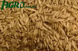 1agro.com.ua