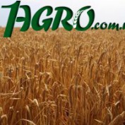 1agro.com.ua
