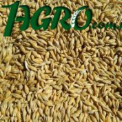 1agro.com.ua