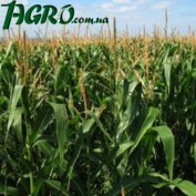 1agro.com.ua
