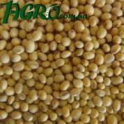 1agro.com.ua