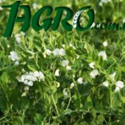 1agro.com.ua
