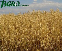 1agro.com.ua