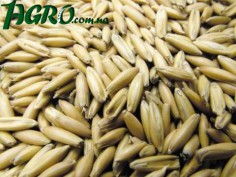1agro.com.ua