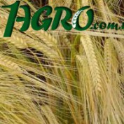 1agro.com.ua