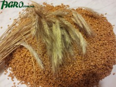 1agro.com.ua