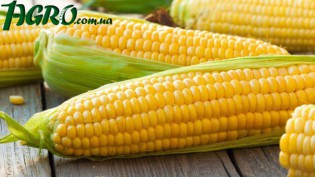 1agro.com.ua