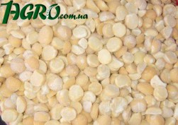 1agro.com.ua