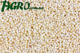 1agro.com.ua
