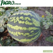 1agro.com.ua