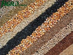 1agro.com.ua