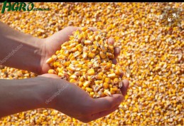 1agro.com.ua