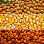 1agro.com.ua