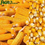 1agro.com.ua