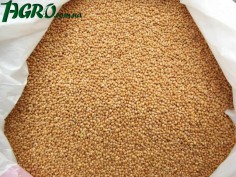 1agro.com.ua