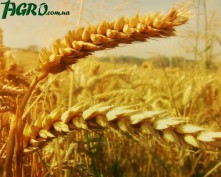 1agro.com.ua