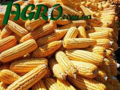 1agro.com.ua