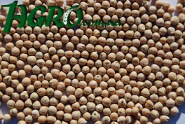 1agro.com.ua