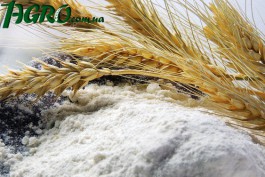 1agro.com.ua
