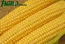 1agro.com.ua
