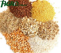 1agro.com.ua