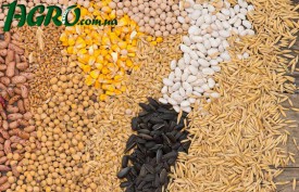 1agro.com.ua