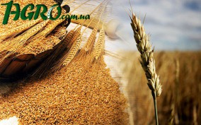 1agro.com.ua