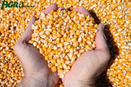 1agro.com.ua