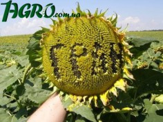 1agro.com.ua