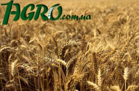 1agro.com.ua