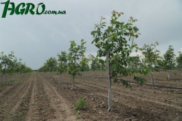 1agro.com.ua