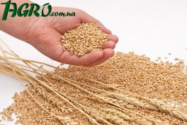 1agro.com.ua