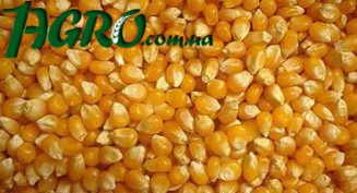 1agro.com.ua