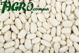 1agro.com.ua