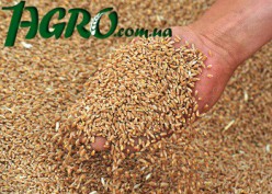 1agro.com.ua