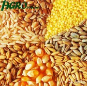 1agro.com.ua