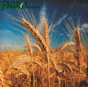 1agro.com.ua