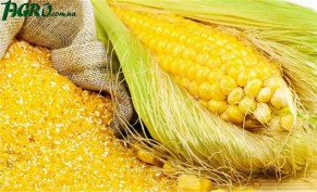 1agro.com.ua