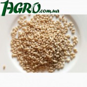 1agro.com.ua
