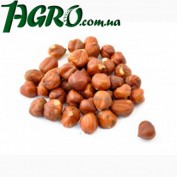 1agro.com.ua